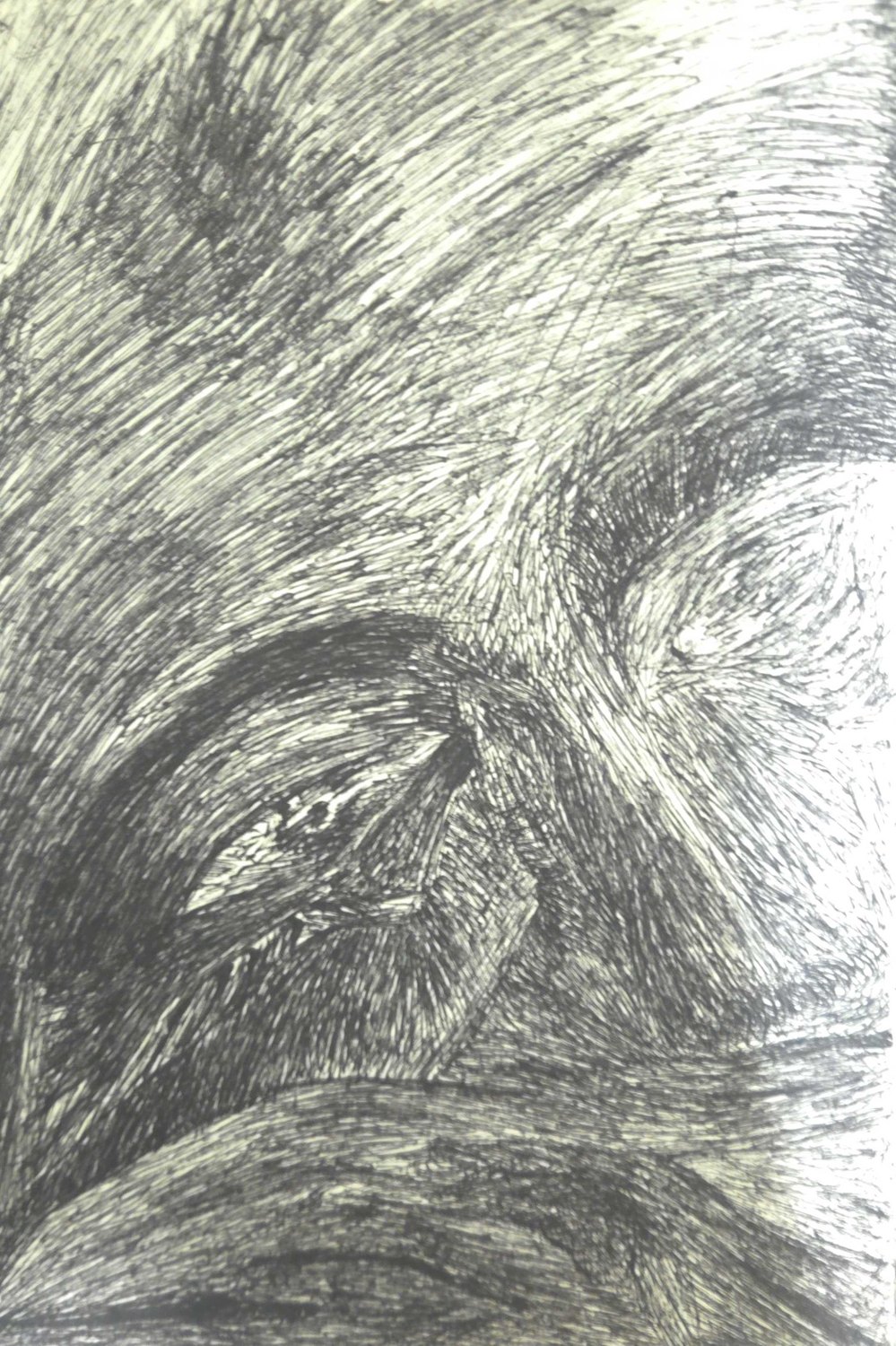 Ink drawing of a face in dense, flowing hatch lines
